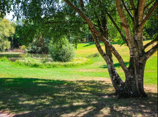 Arboretum du parc de Rouelles, Montivilliers, France, France